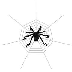 Halloween Decorations Spider Outdoor 49inch Halloween Spider with 126 inch Tarantula Mega Spider Web Hairy Poseable Scary Spider Outdoor Yard Creepy D