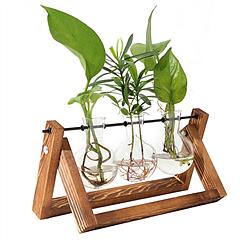 Desktop Glass Planter Bulb Plant Terrarium with Wooden Stand Air Planter Glass Vase Metal Swivel Plant Vase for Hydroponics
