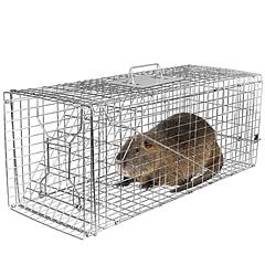Humane Cat Trap Cage Catch Release Live Animal Rodent Cage Collapsible Galvanized Wire for Raccoons Beavers Groundhogs Foxes Armadillos