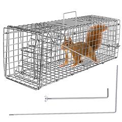 Humane Cat Trap Cage Catch Release Live Animal Rodent Cage Collapsible Galvanized Wire for Small Raccoons Beavers Groundhogs Foxes Armadillos