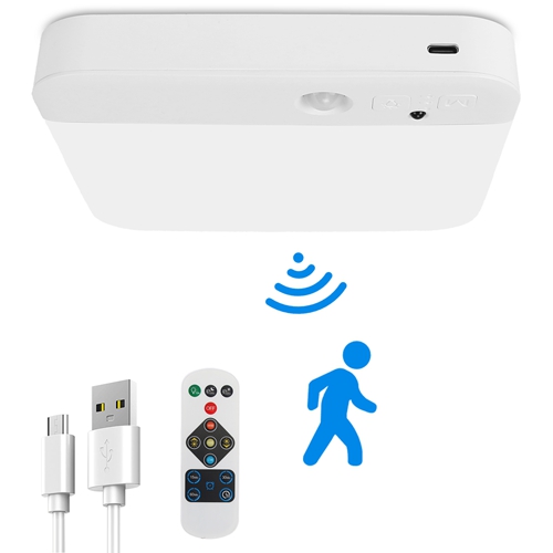 Motion Sensor Ceiling Light With Remote Rechargeable Wireless Flush ...