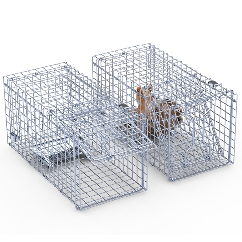 Squirrel Foot Racks 2Pcs 18x8x10In Humane Single Door Live Animal Trap Collapsible ...